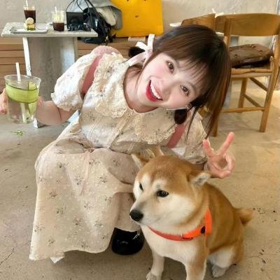 他们的意外旅程