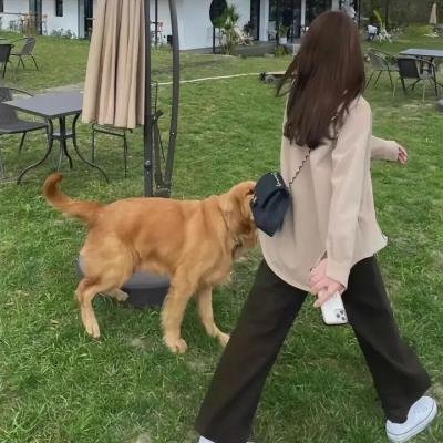 三个老婆